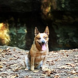 Meet your Posher, Kobe